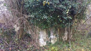 Ligne Maginot - LANGHURST - (Blockhaus pour arme infanterie) - 