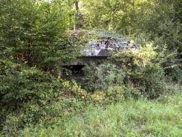 Ligne Maginot - B764 - LE FOURNEAU - (Blockhaus pour canon) - 