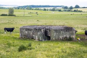 Ligne Maginot - M121B - BREITMATT EST - (Blockhaus pour arme infanterie) - 