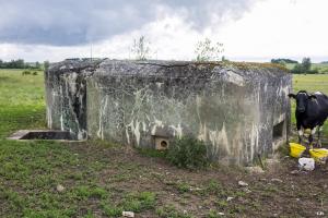 Ligne Maginot - M121B - BREITMATT EST - (Blockhaus pour arme infanterie) - 