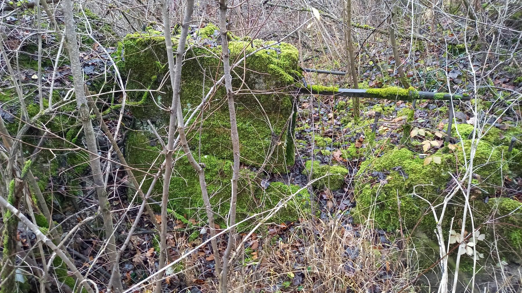 Ligne Maginot - NAMBSHEIM EST 2 - (Blockhaus de type indéterminé) -  - Nicolas MULLER