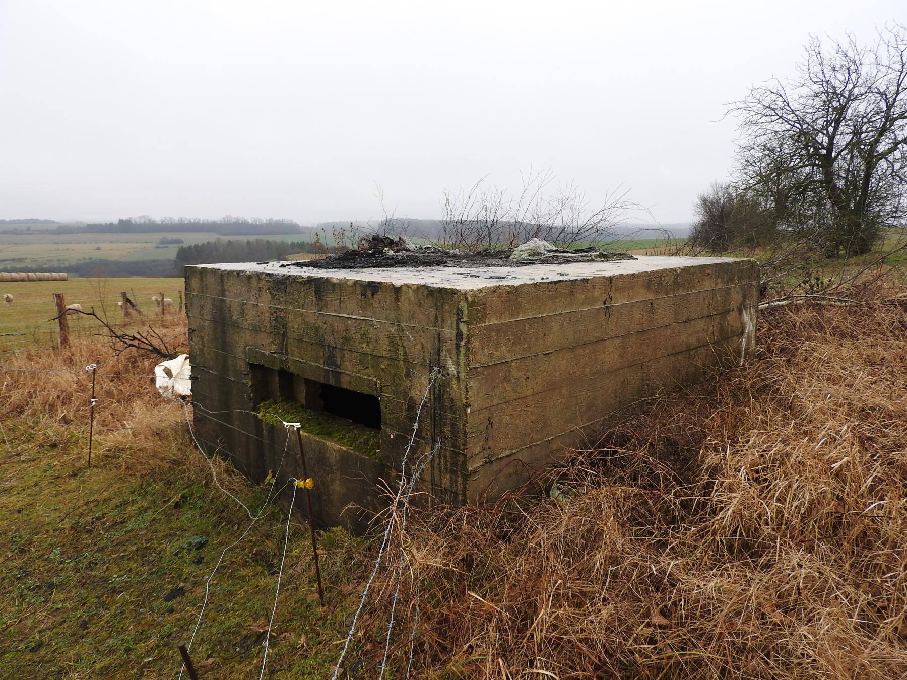 Ligne Maginot - AUF GEBELS 3 - (Blockhaus pour arme infanterie) - La façade de tir. - STENGER Mathieu