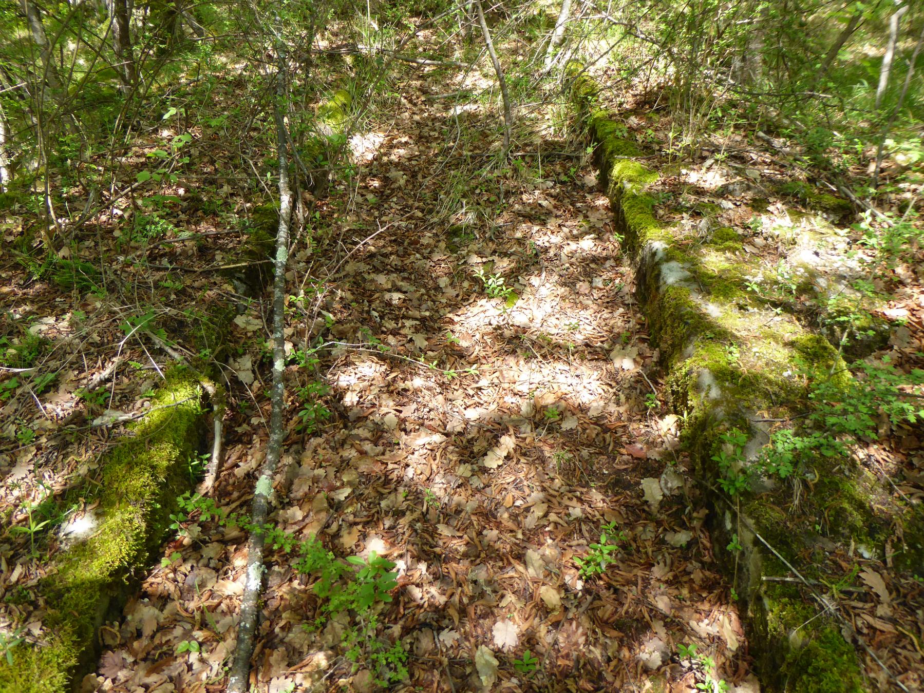 Ligne Maginot - GORDOLON (GN) - (Ouvrage d'artillerie) - Possible drainage des eaux de pluie au dessus du bloc 2 - Daniel ELLENA - Philippe CUNY