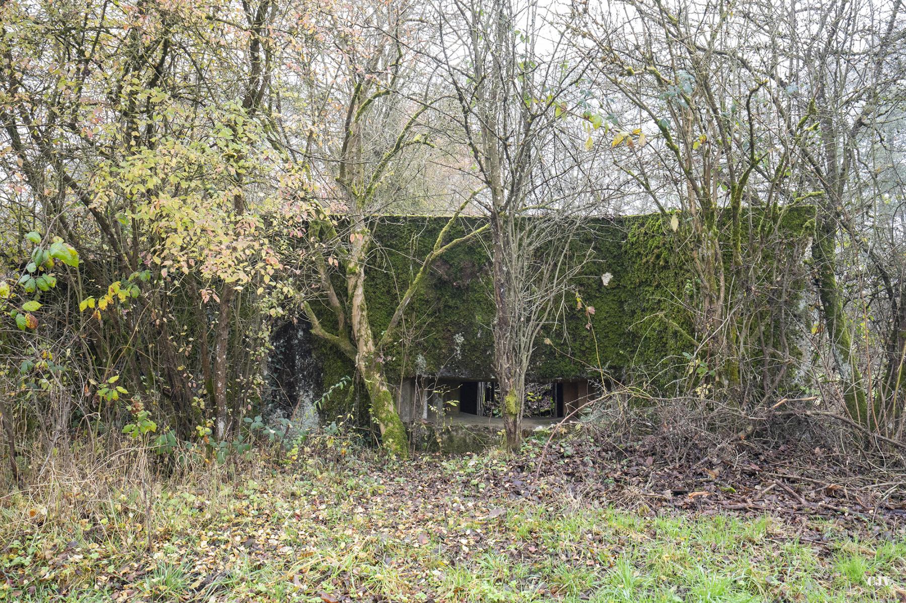 Ligne Maginot - CB294 - PESCH EST - (Blockhaus pour canon) -  - Lia VERMEULEN