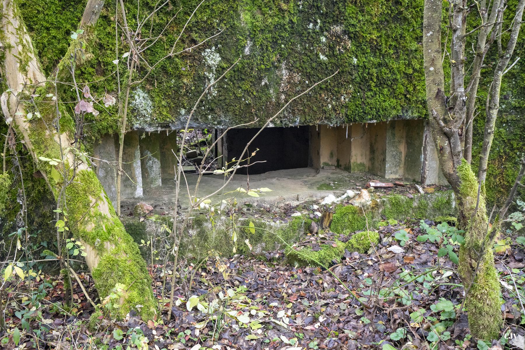 Ligne Maginot - CB294 - PESCH EST - (Blockhaus pour canon) - Le créneau pour le canon - Lia VERMEULEN