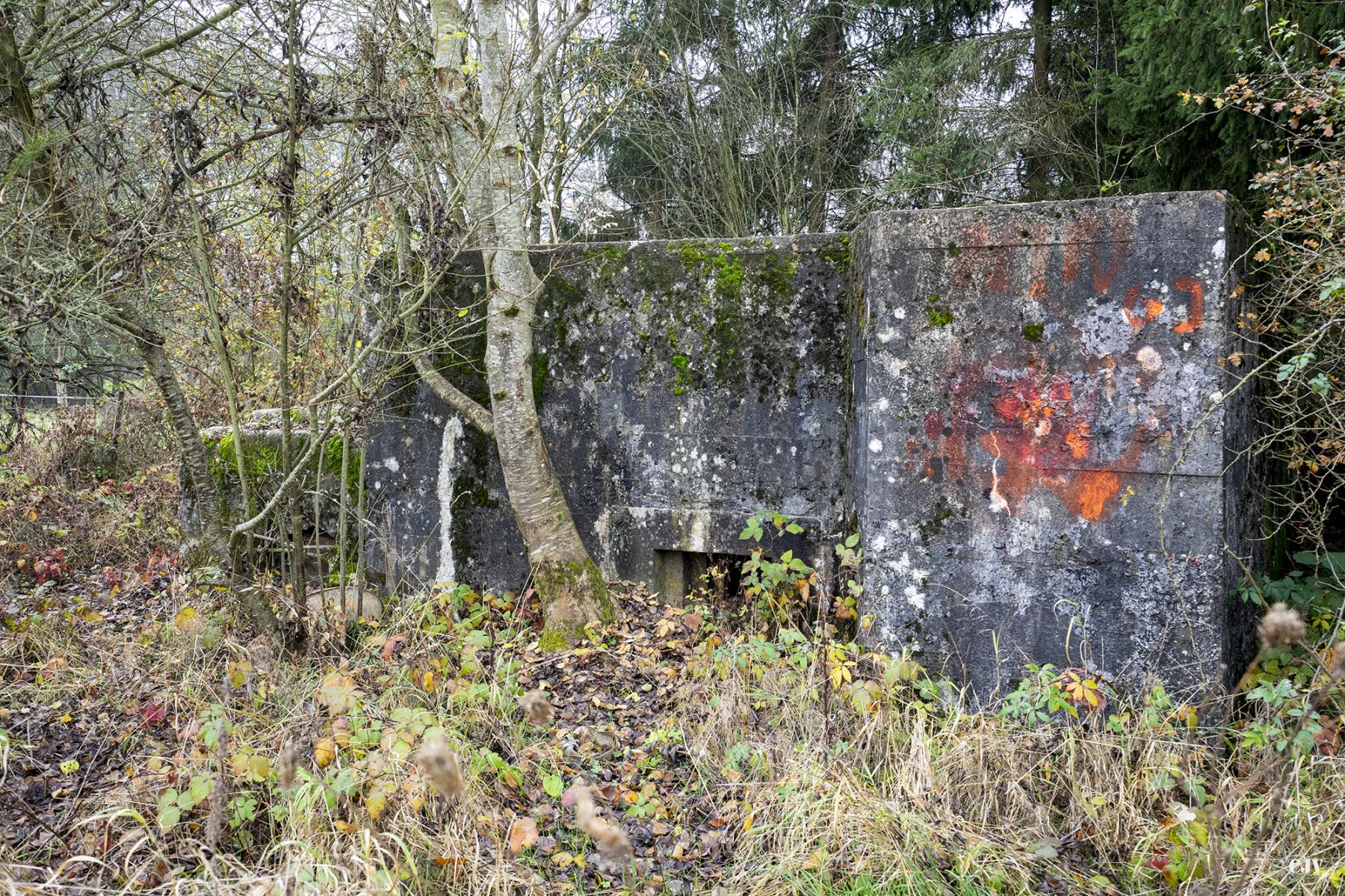 Ligne Maginot - CB286 - PESCH OUEST - (Blockhaus pour arme infanterie) -  - Lia VERMEULEN