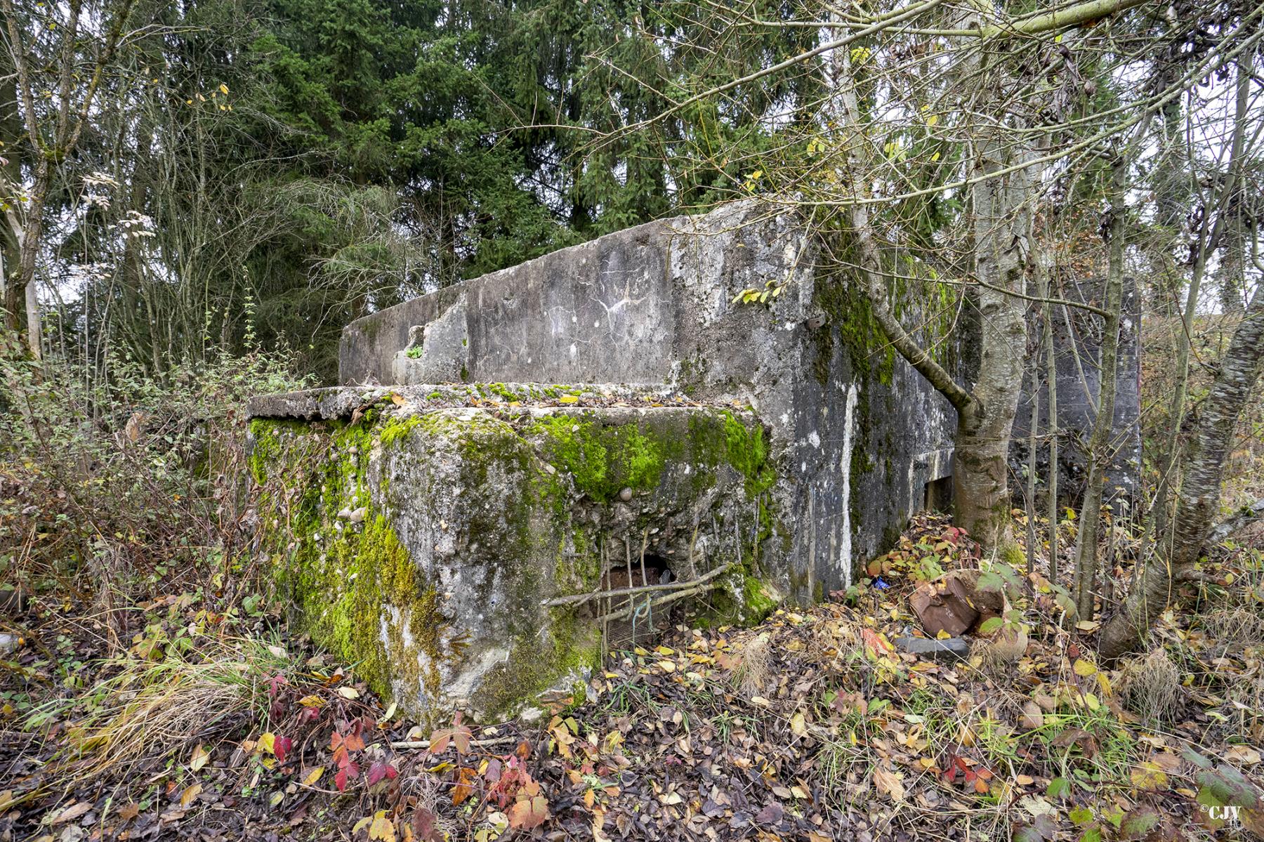 Ligne Maginot - CB286 - PESCH OUEST - (Blockhaus pour arme infanterie) - Créneau de l'annexe droit - Lia VERMEULEN
