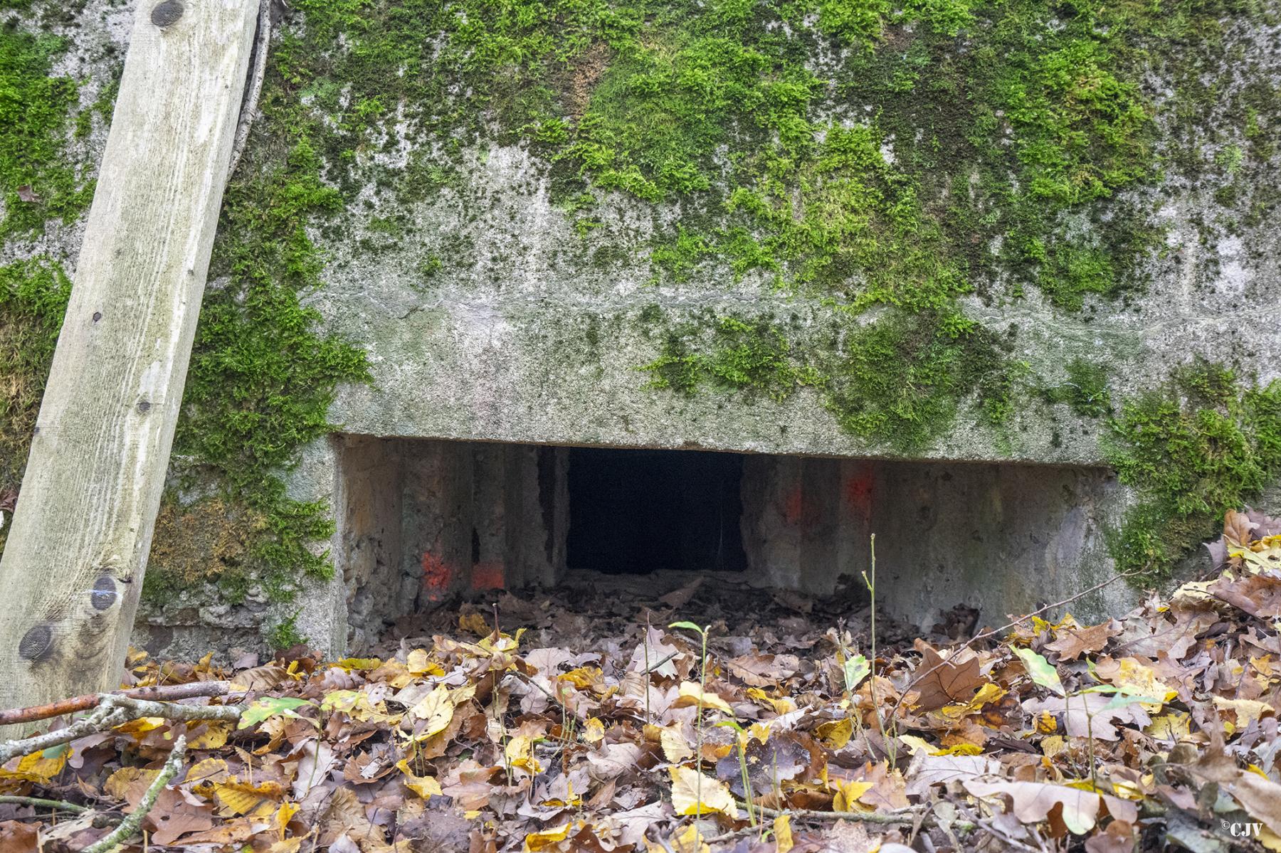 Ligne Maginot - CB80-C - MEIEREI 4 - (Blockhaus pour arme infanterie) - Le créneau - Lia VERMEULEN