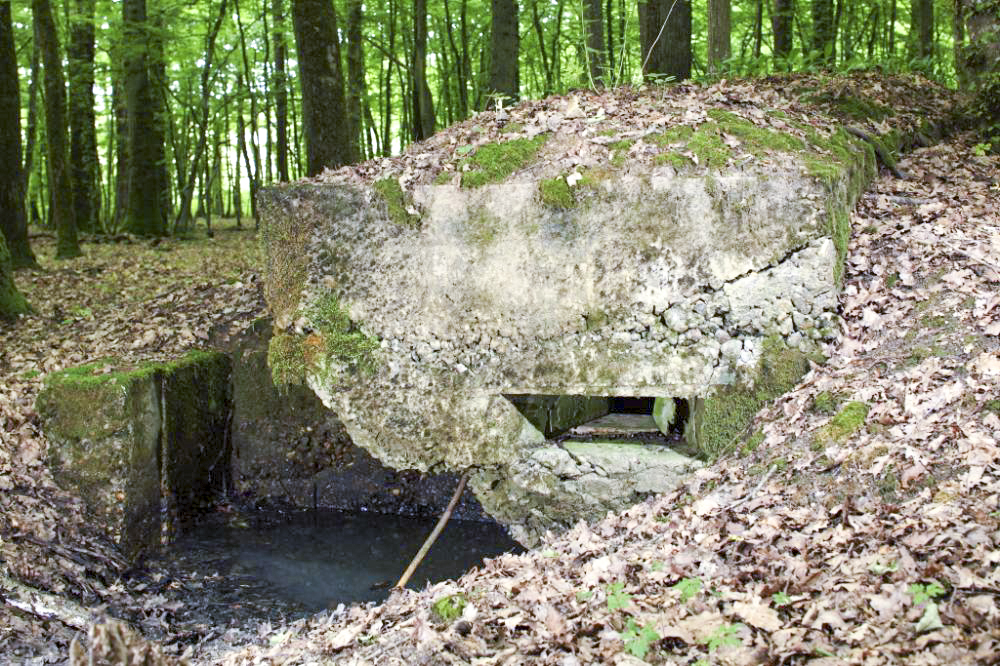 Ligne Maginot - CB81-C - MEIEREI 1 - (Blockhaus pour arme infanterie) - Un des créneaux. - www.arnaultjl-photo.com