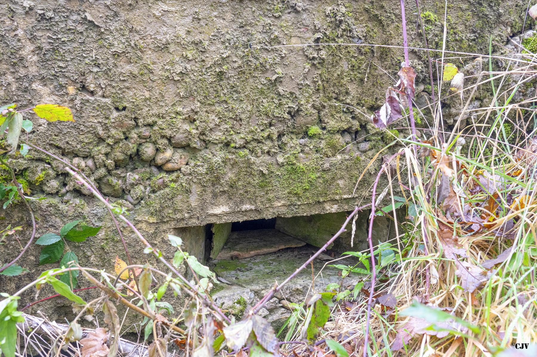 Ligne Maginot - CB81-C - MEIEREI 1 - (Blockhaus pour arme infanterie) - Le créneau - Lia VERMEULEN
