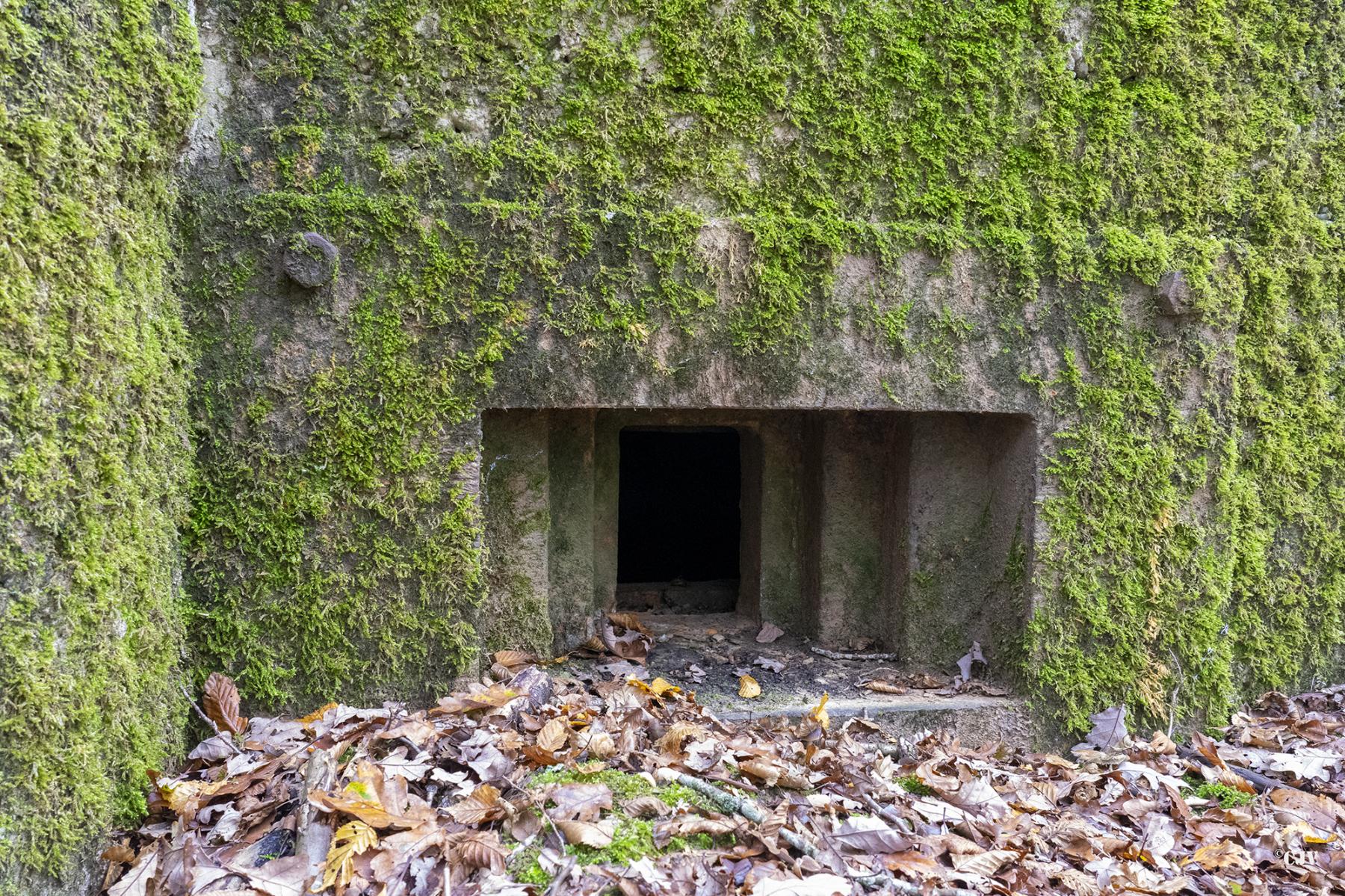 Ligne Maginot - CB219 - MEIEREI 2 - (Blockhaus pour arme infanterie) - Le créneau - Lia VERMEULEN