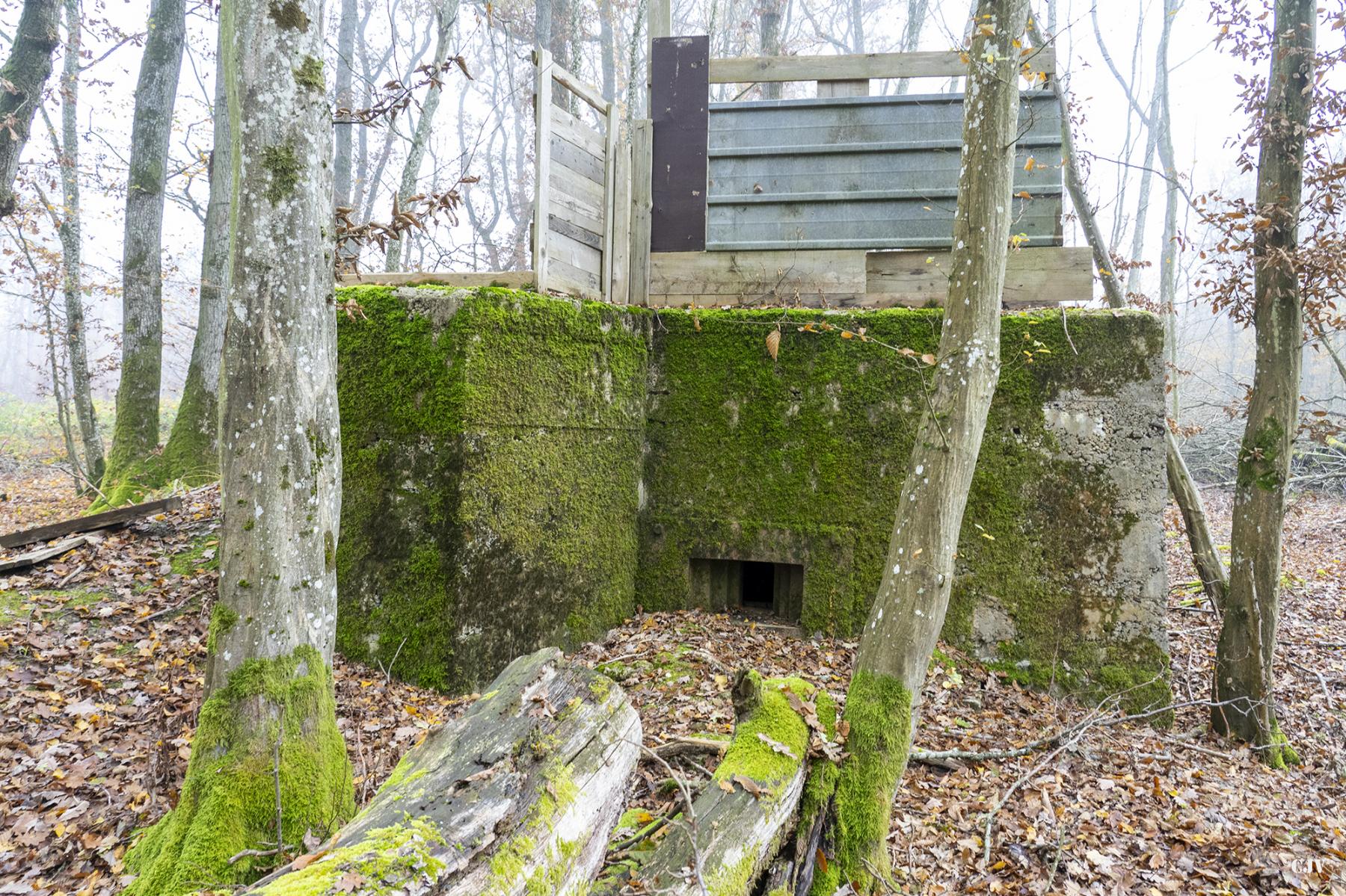 Ligne Maginot - CB219 - MEIEREI 2 - (Blockhaus pour arme infanterie) -  - Lia VERMEULEN