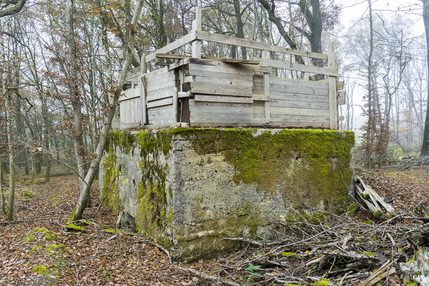 Ligne Maginot - CB219 - MEIEREI 2 - (Blockhaus pour arme infanterie) -  - Lia VERMEULEN