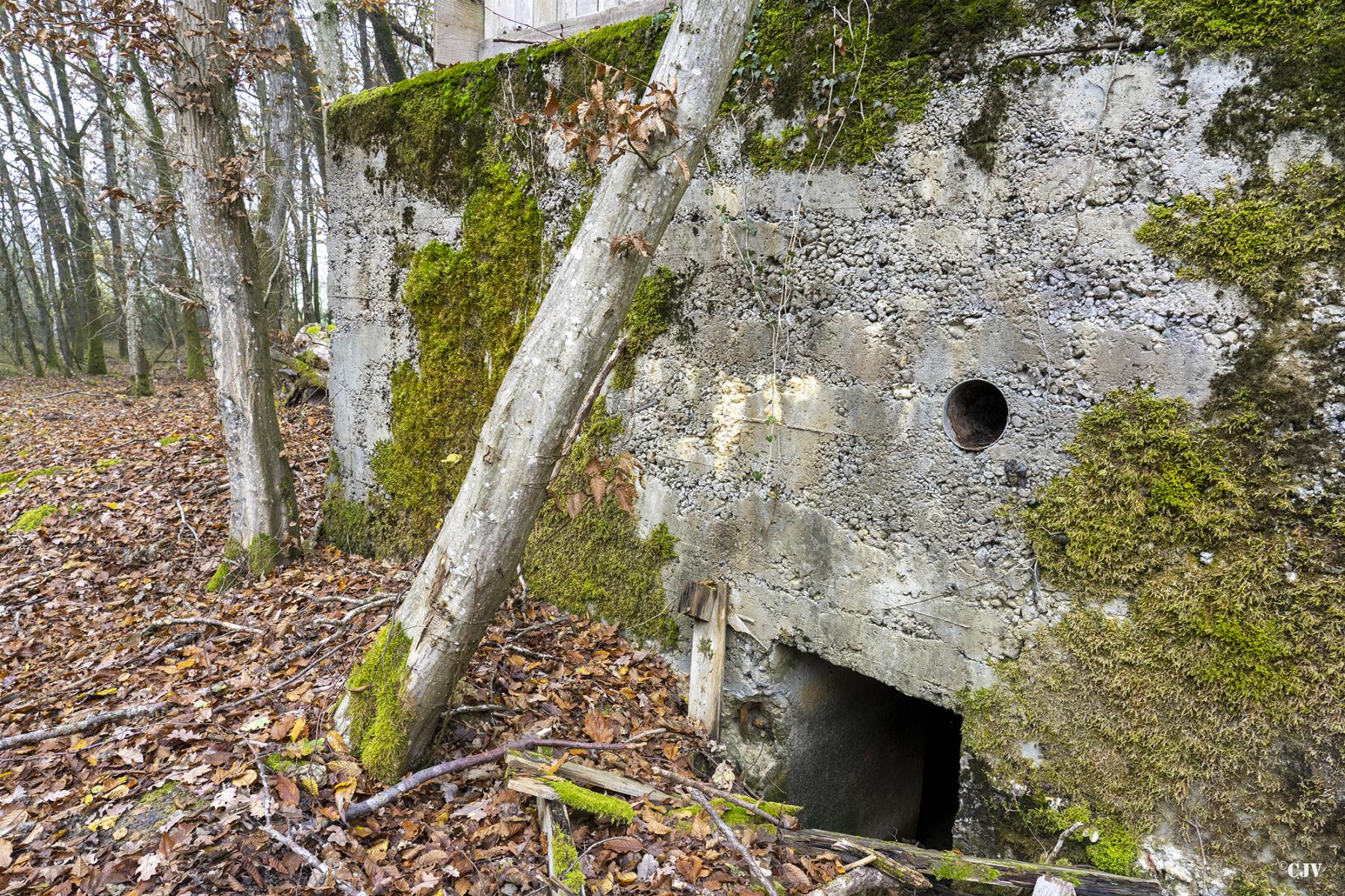 Ligne Maginot - CB219 - MEIEREI 2 - (Blockhaus pour arme infanterie) - L'entrée - Lia VERMEULEN