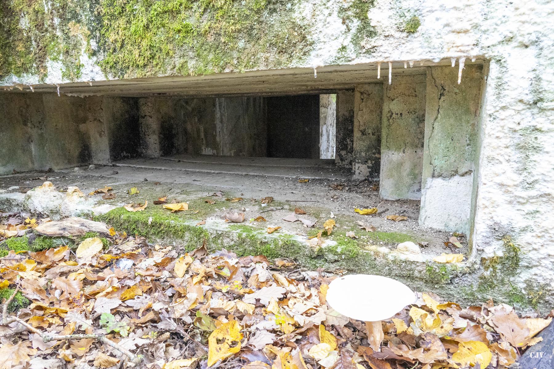 Ligne Maginot - CB287 - MEIEREI 3 - (Blockhaus pour canon) - Le créneau - Lia VERMEULEN