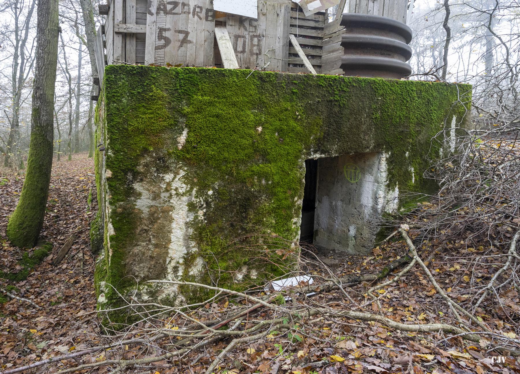 Ligne Maginot - CB287 - MEIEREI 3 - (Blockhaus pour canon) - L'entrée du matériel - Lia VERMEULEN