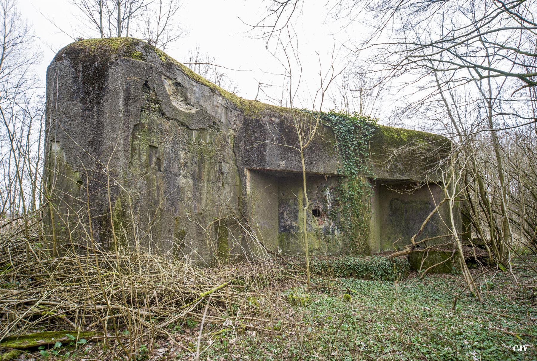 Ligne Maginot - ELESMES - (Blockhaus lourd type STG / STG-FCR - Double) -  - Lia VERMEULEN