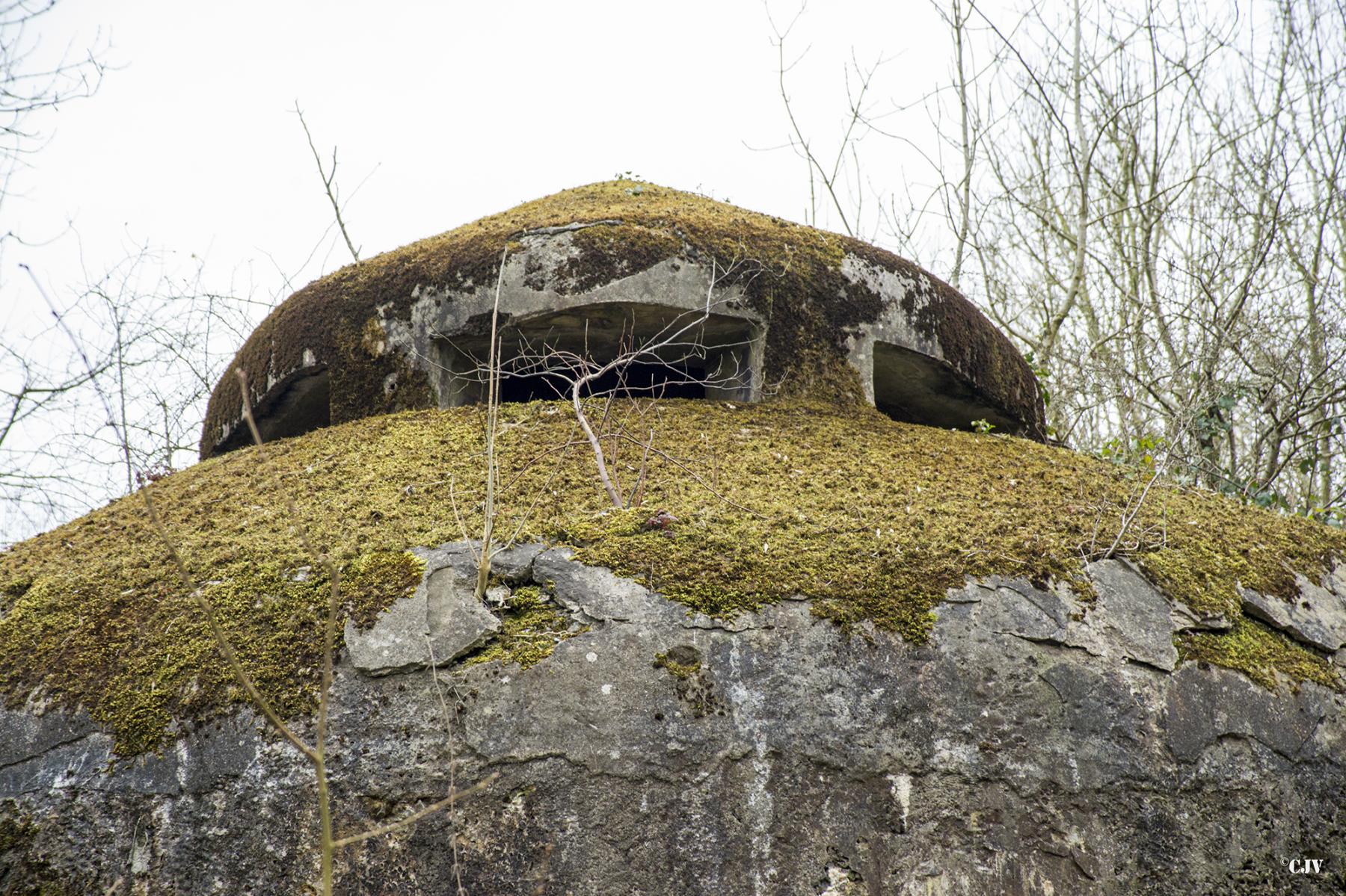 Ligne Maginot - ELESMES - (Blockhaus lourd type STG / STG-FCR - Double) -  - Lia VERMEULEN