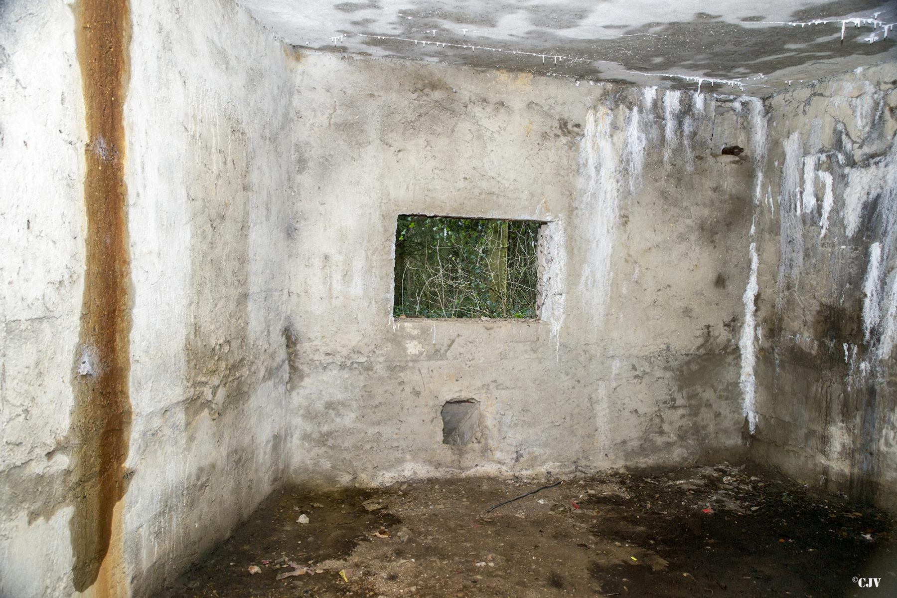 Ligne Maginot - A96 - LE MESNIL NORD - (Blockhaus pour canon) -  - Lia VERMEULEN
