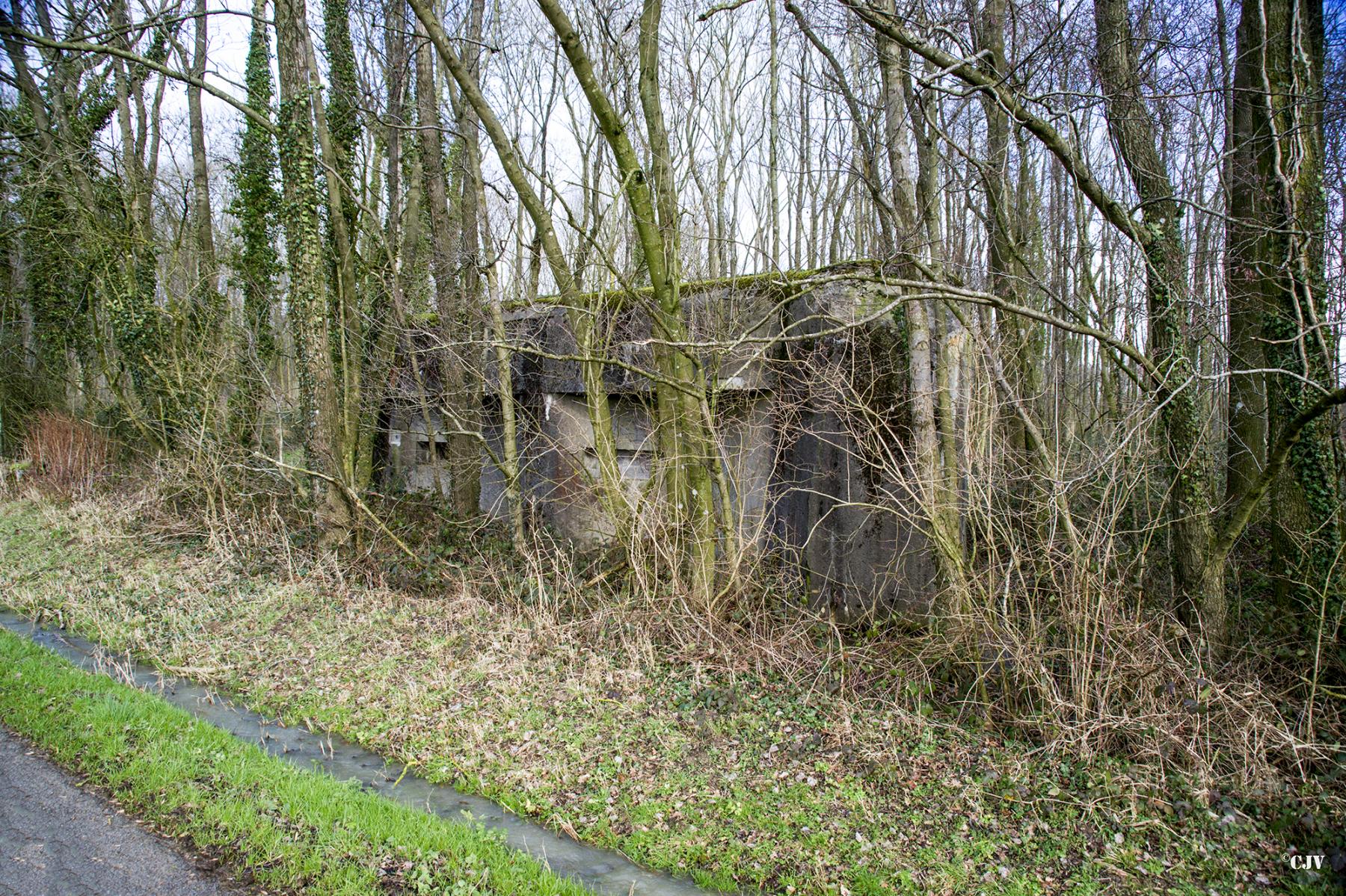 Ligne Maginot - A97 - LE MESNIL SUD - (Blockhaus pour canon) -  - Lia VERMEULEN