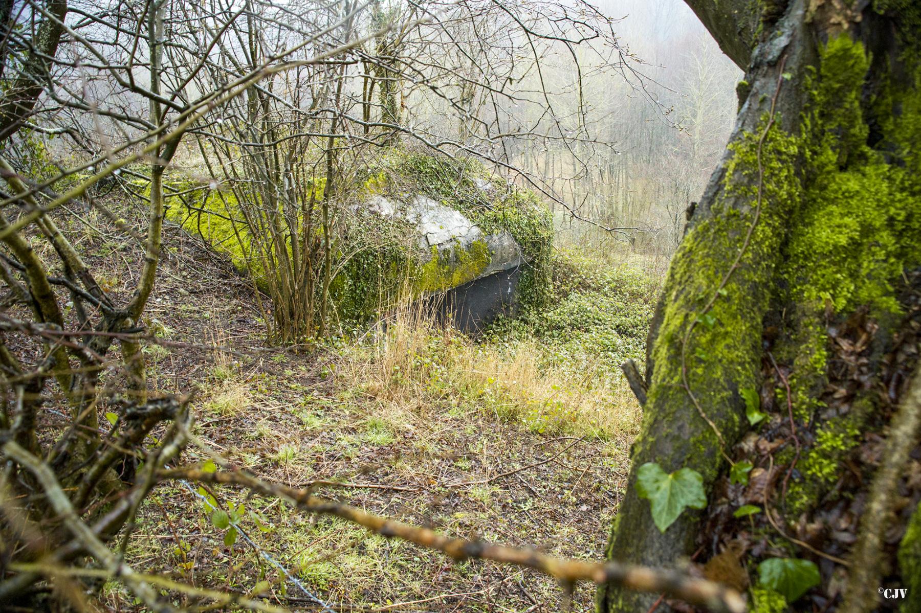 Ligne Maginot - A100 - BOIS DES NIELLES - (Blockhaus pour canon) -  - Lia VERMEULEN