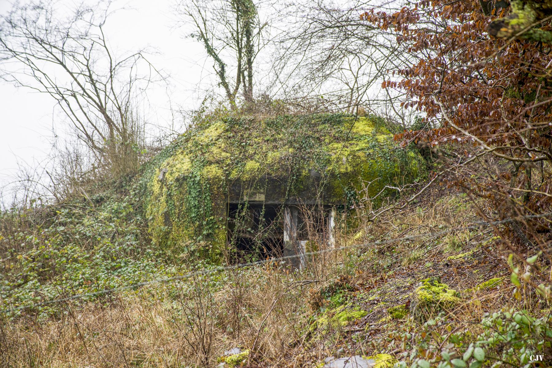 Ligne Maginot - A100 - BOIS DES NIELLES - (Blockhaus pour canon) -  - Lia VERMEULEN