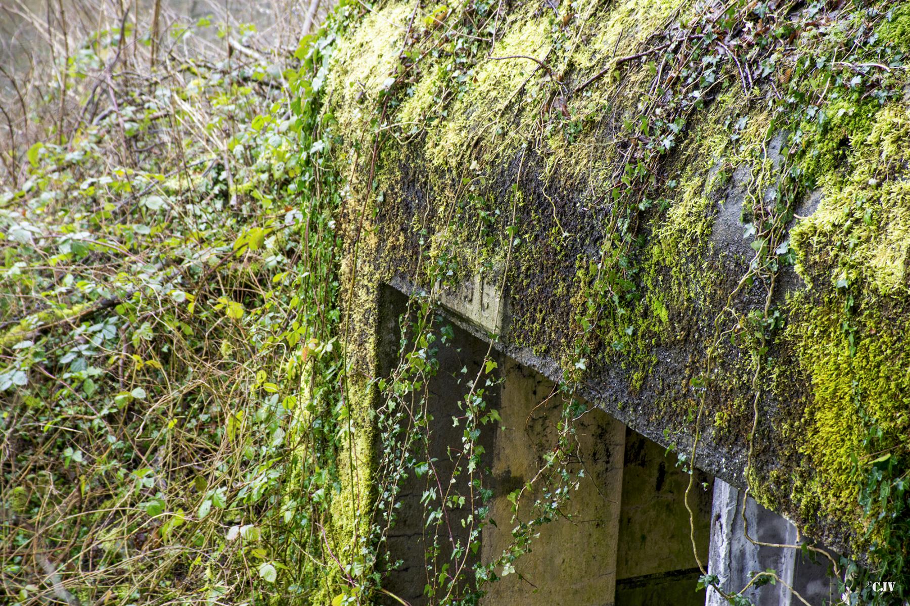 Ligne Maginot - A100 - BOIS DES NIELLES - (Blockhaus pour canon) -  - Lia VERMEULEN