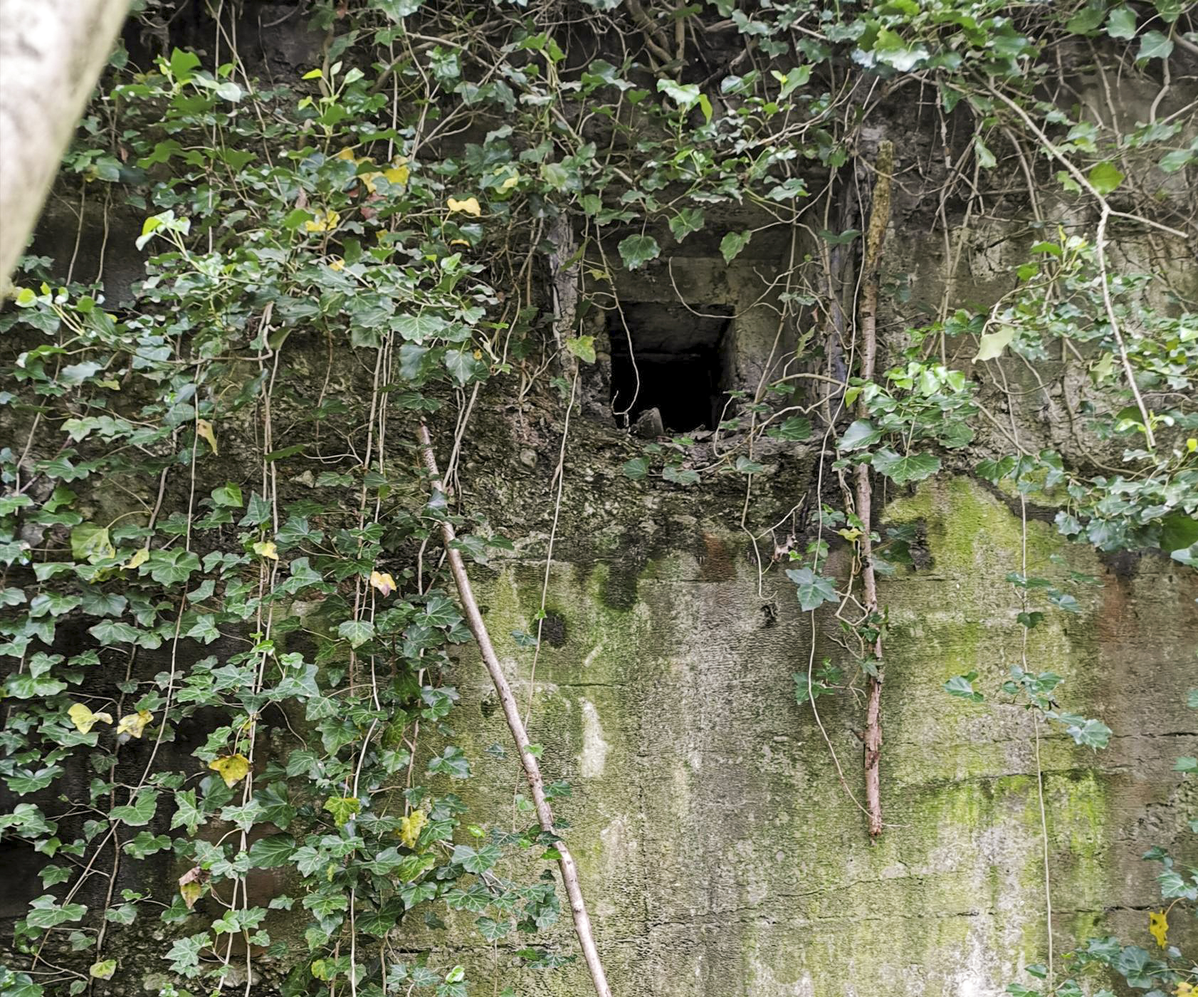 Ligne Maginot - LANGENHAEUSER - (Blockhaus pour arme infanterie) - L'aération côté nord. - leiraph