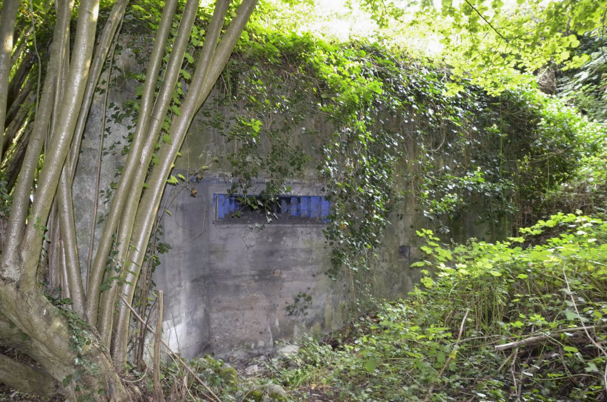 Ligne Maginot - LANGENHAEUSER - (Blockhaus pour arme infanterie) -  - D Froehly