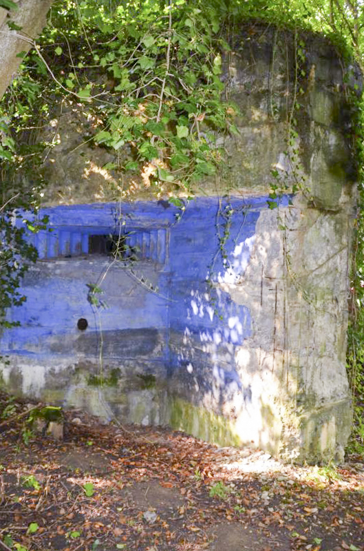 Ligne Maginot - LANGENHAEUSER - (Blockhaus pour arme infanterie) -  - D Froehly