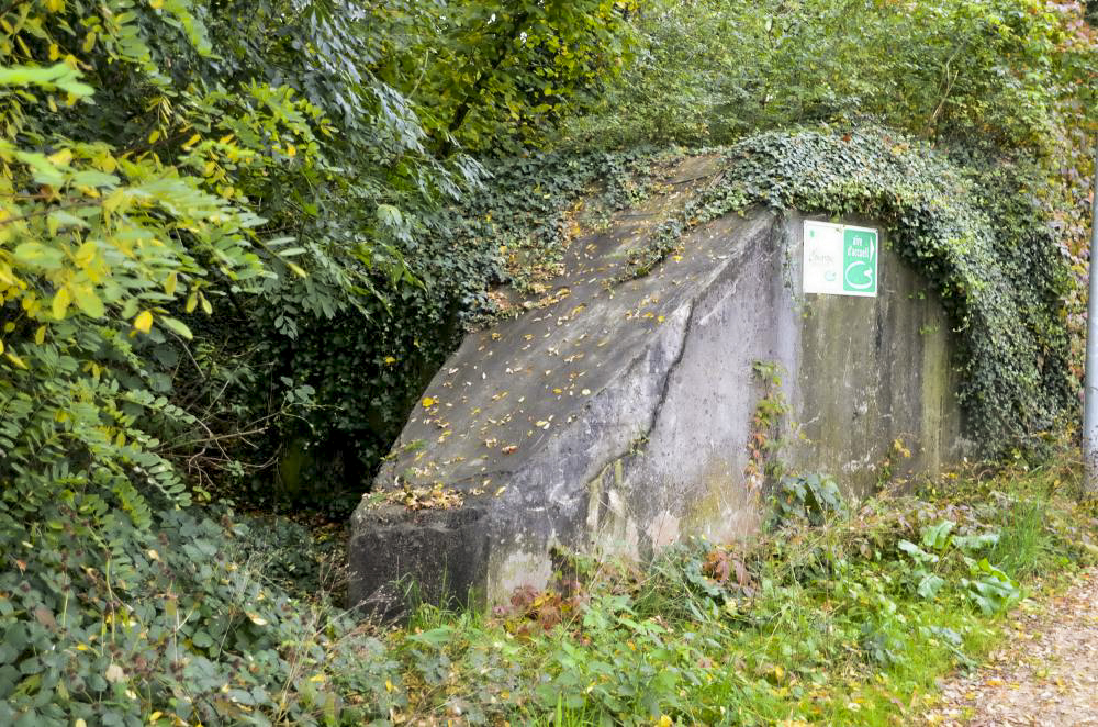 Ligne Maginot - HABERHAEUSER 1 - (Blockhaus pour arme infanterie) - Abri pour mitrailleuse - D. Froehly
