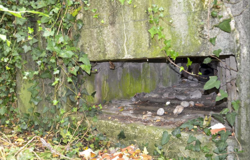 Ligne Maginot - HABERHAEUSER 1 - (Blockhaus pour arme infanterie) - Créneau de tir de mitrailleuse avec sa plaque de blindage - D. Froehly