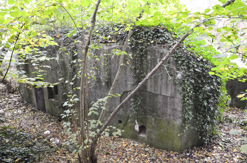 Ligne Maginot - HABERHAEUSER 1 - (Blockhaus pour arme infanterie) - Vue arrière, avec de gauche à droite : l'entrée sans porte, le créneau de défense rapprochée, une évacuation et la goulotte pour les grenades. - D. Froehly