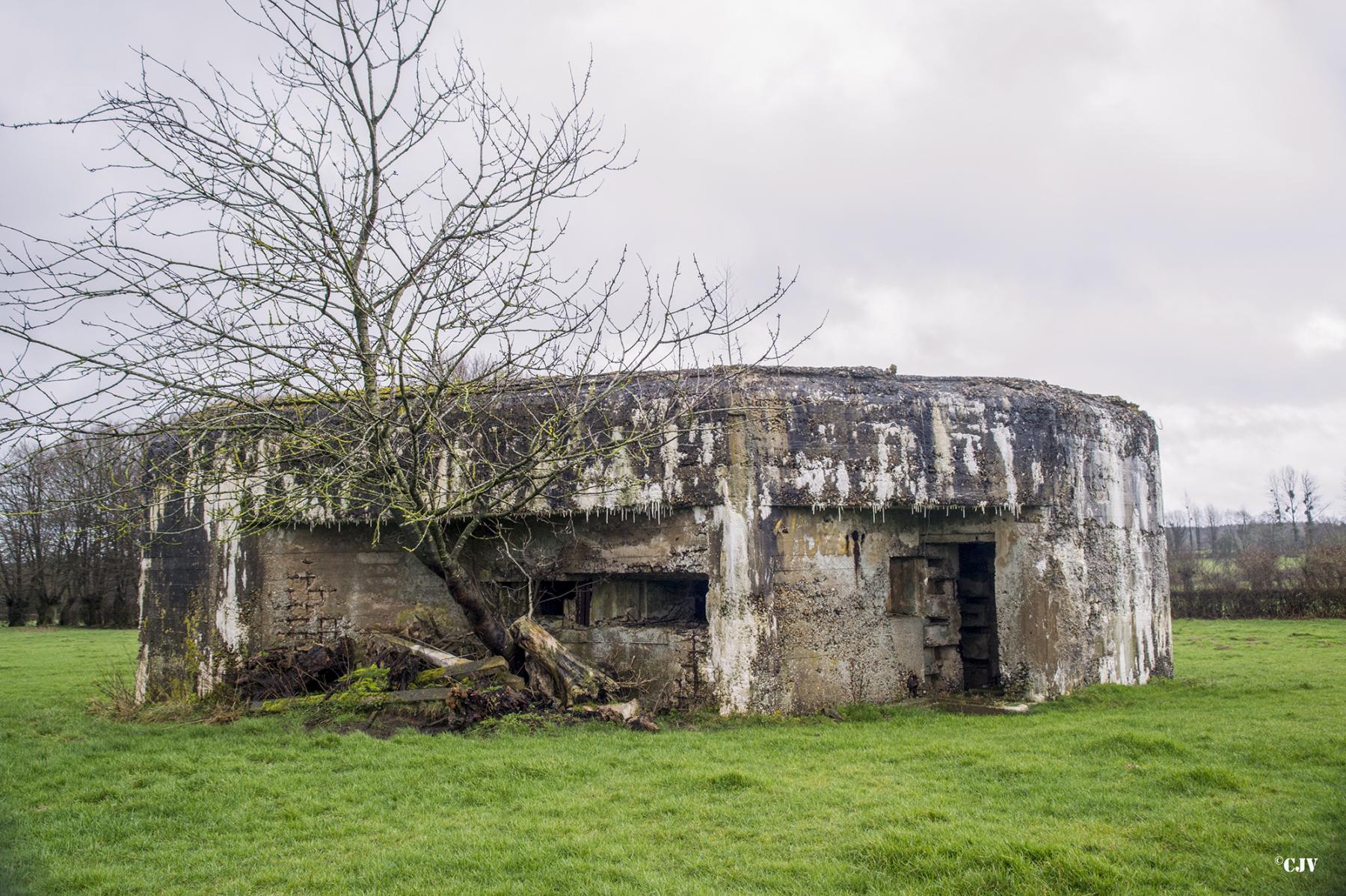 Ligne Maginot - A106 - GOBINETTE - (Blockhaus pour canon) - Les créneaux et l'entrée du personnel - Lia VERMEULEN