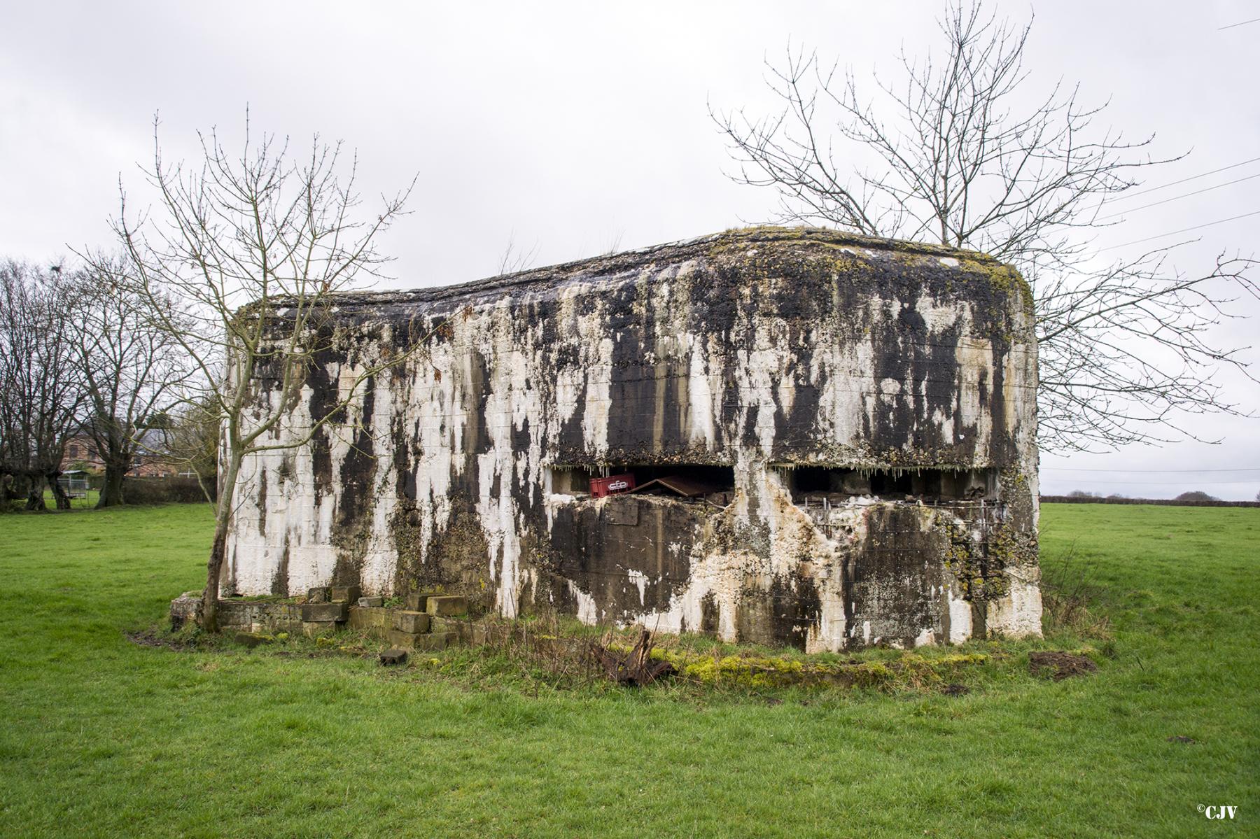 Ligne Maginot - A106 - GOBINETTE - (Blockhaus pour canon) - Les créneaux d'observation - Lia VERMEULEN