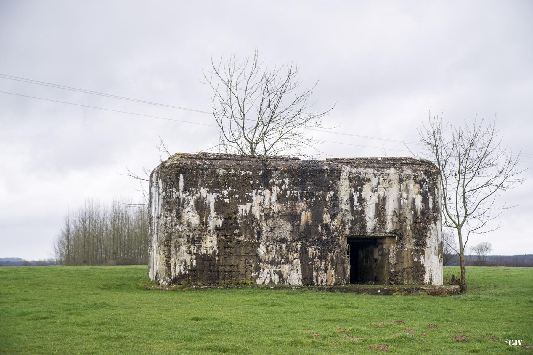 Ligne Maginot - A106 - GOBINETTE - (Blockhaus pour canon) - L'entrée du materiel - Lia VERMEULEN