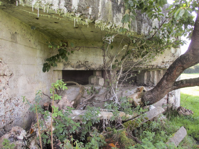 Ligne Maginot - A106 - GOBINETTE - (Blockhaus pour canon) -  - Randonneur62