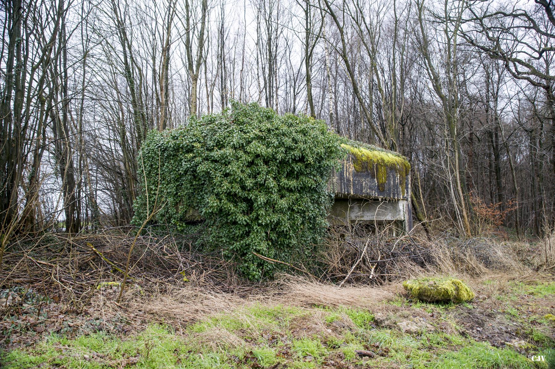 Ligne Maginot - A107 - BELLEUX - (Blockhaus pour canon) - Les créneaux sont a peu près invisible - Lia VERMEULEN