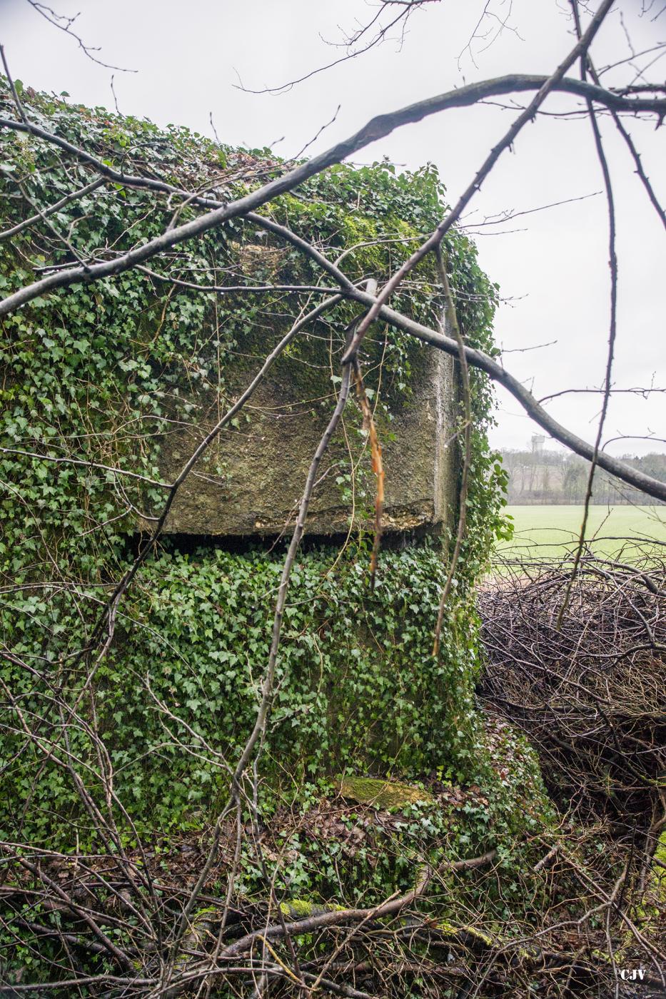 Ligne Maginot - A107 - BELLEUX - (Blockhaus pour canon) - Créneau d'observation - Lia VERMEULEN