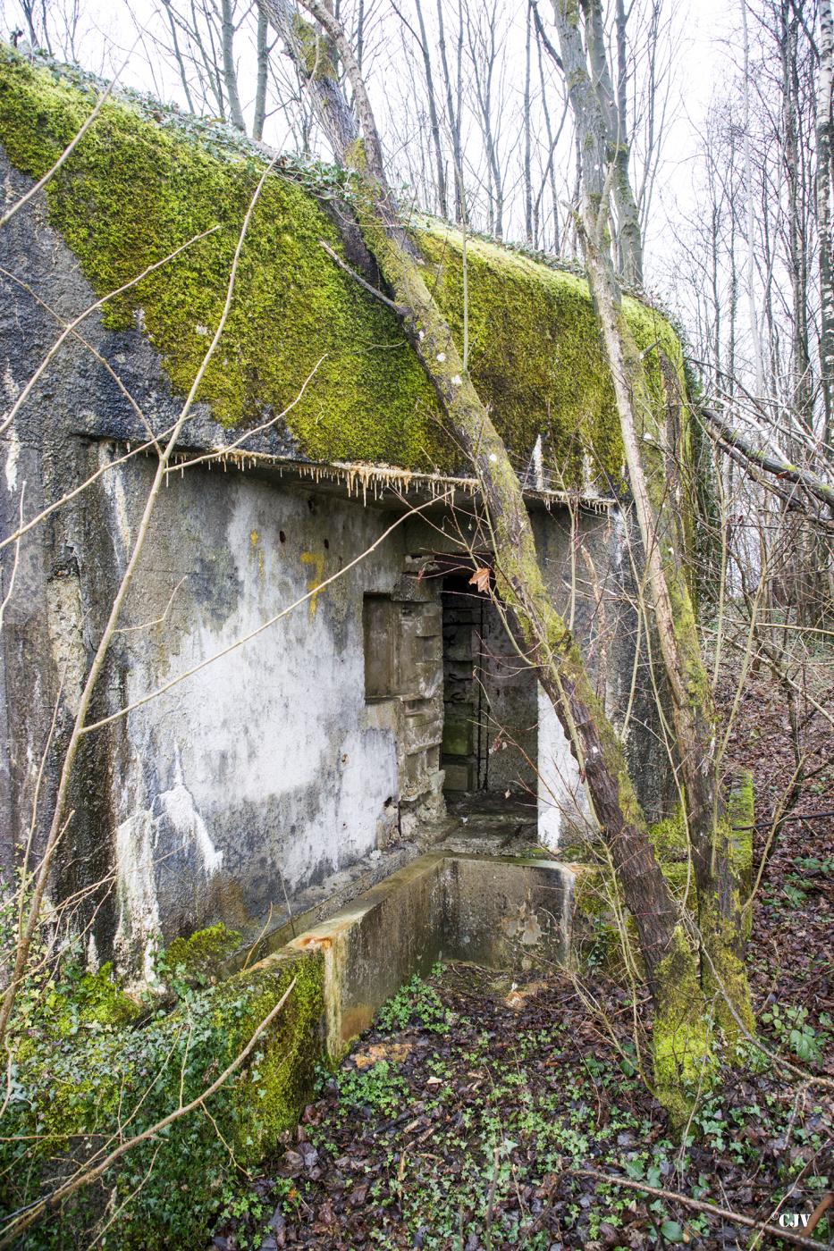 Ligne Maginot - A107 - BELLEUX - (Blockhaus pour canon) - L'entrée du personnel - Lia VERMEULEN