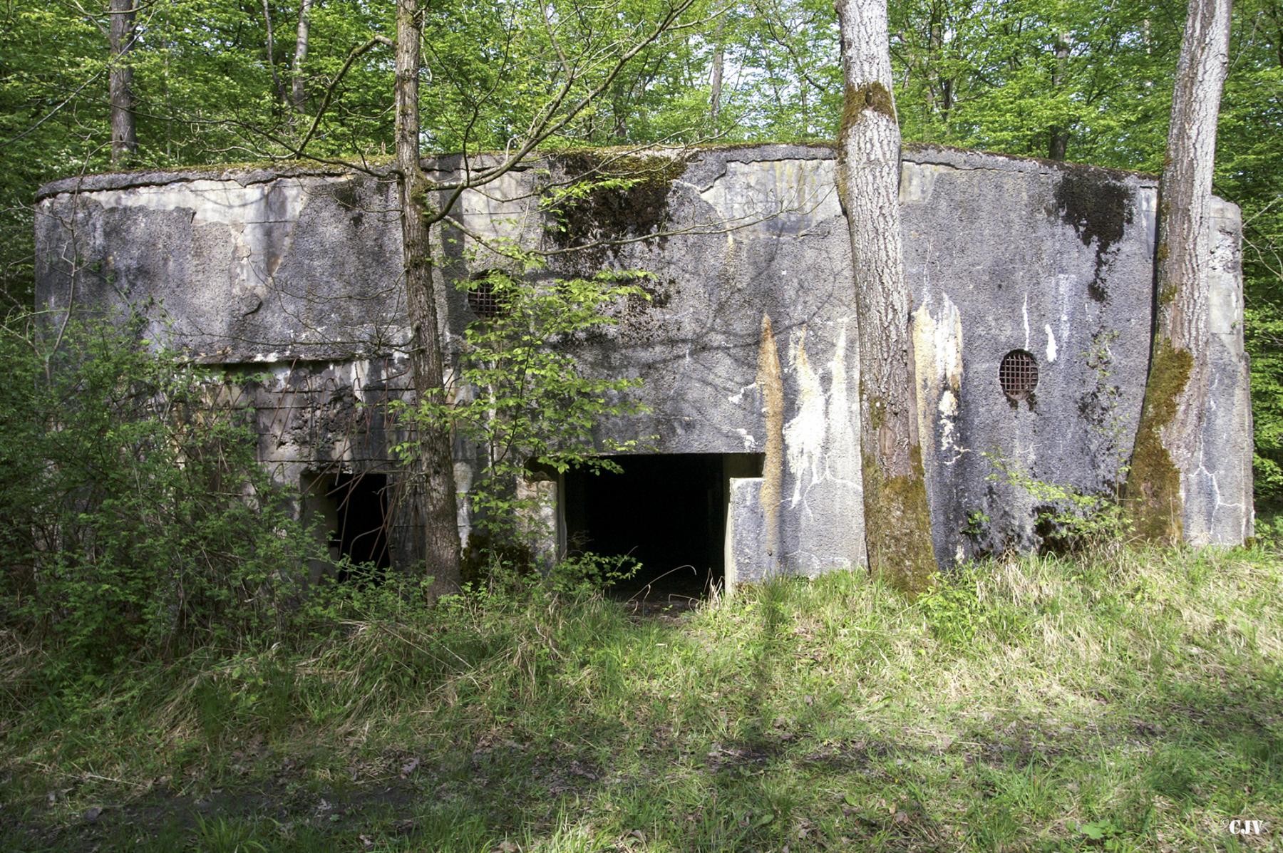 Ligne Maginot - A109 - ROUTE D'EPPE-SAUVAGE - (Casemate d'infanterie - double) - Les entrées - Caspar Vermeulen