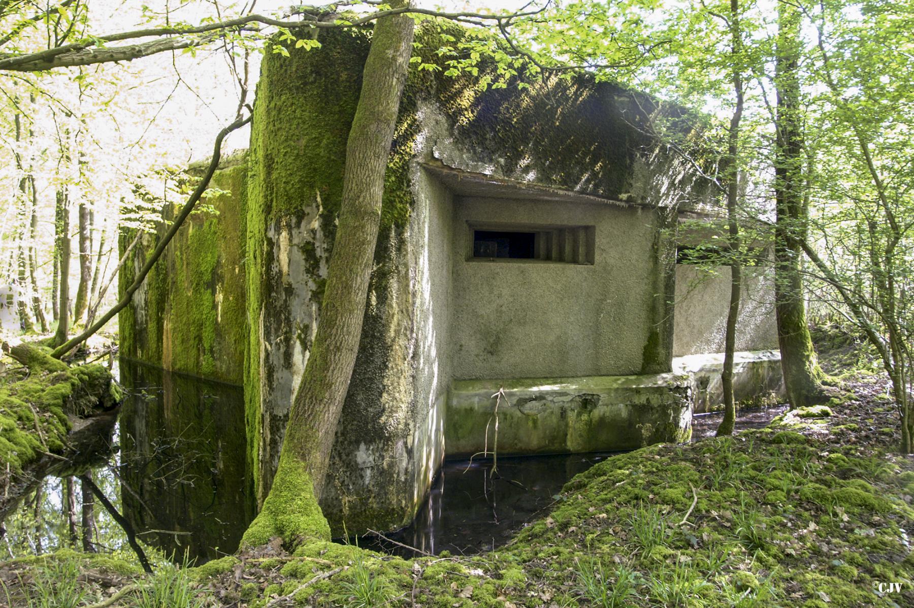 Ligne Maginot - A109 - ROUTE D'EPPE-SAUVAGE - (Casemate d'infanterie - double) -  - Caspar Vermeulen