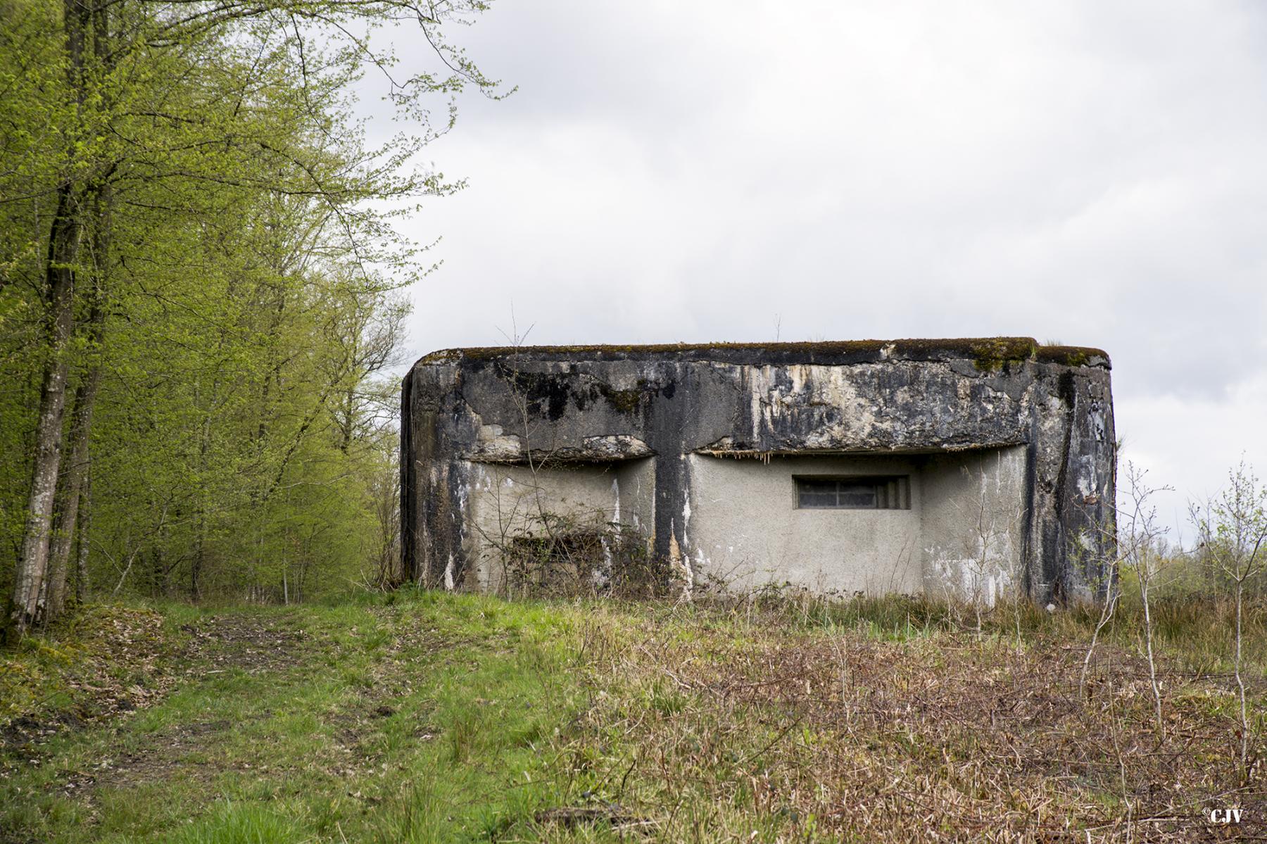 Ligne Maginot - A109 - ROUTE D'EPPE-SAUVAGE - (Casemate d'infanterie - double) - Vu du sud-est - Lia VERMEULEN