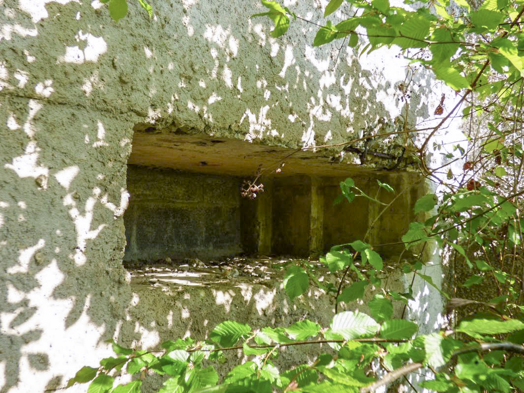 Ligne Maginot - A109 - ROUTE D'EPPE-SAUVAGE - (Casemate d'infanterie - double) -  - JMBrams