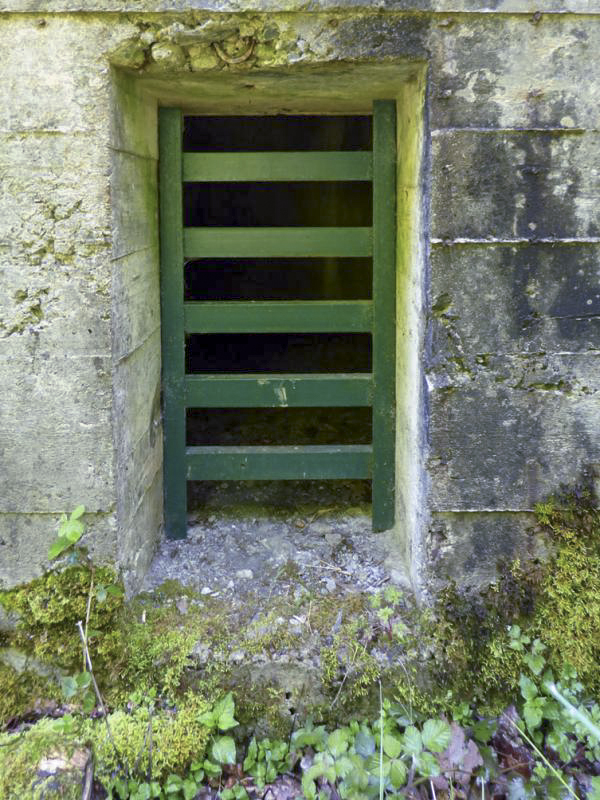 Ligne Maginot - A109 - ROUTE D'EPPE-SAUVAGE - (Casemate d'infanterie - double) - L'entrée du personnel - JMBrams