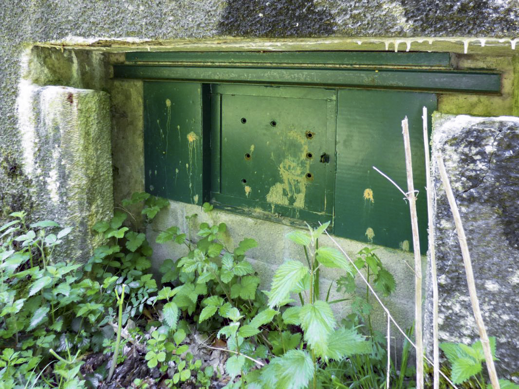 Ligne Maginot - A109 - ROUTE D'EPPE-SAUVAGE - (Casemate d'infanterie - double) - L'entrée du matériel - JMBrams