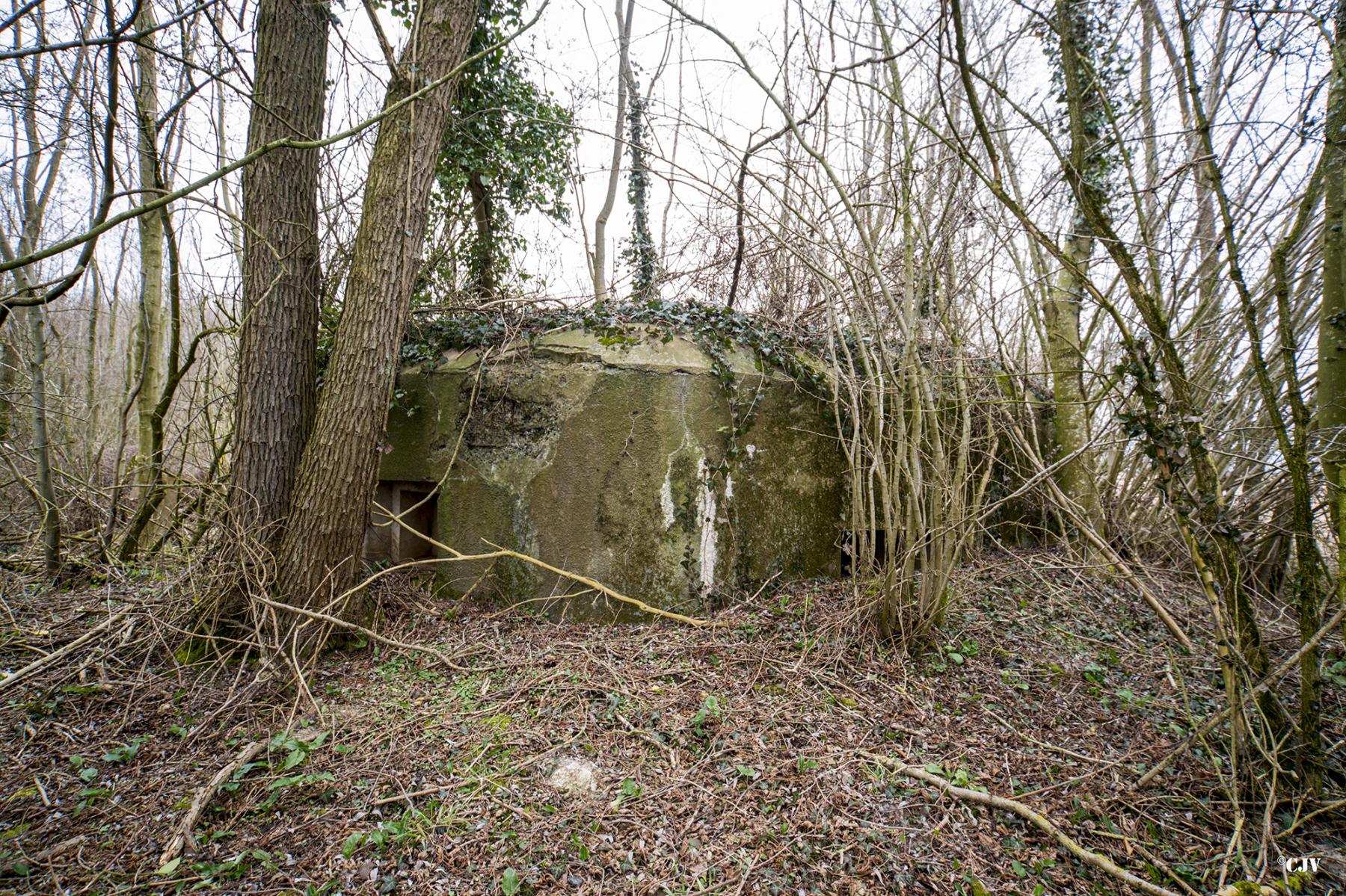 Ligne Maginot - B636 - BOIS D'ELESMES - (Blockhaus pour canon) - Vu frontale - Lia VERMEULEN