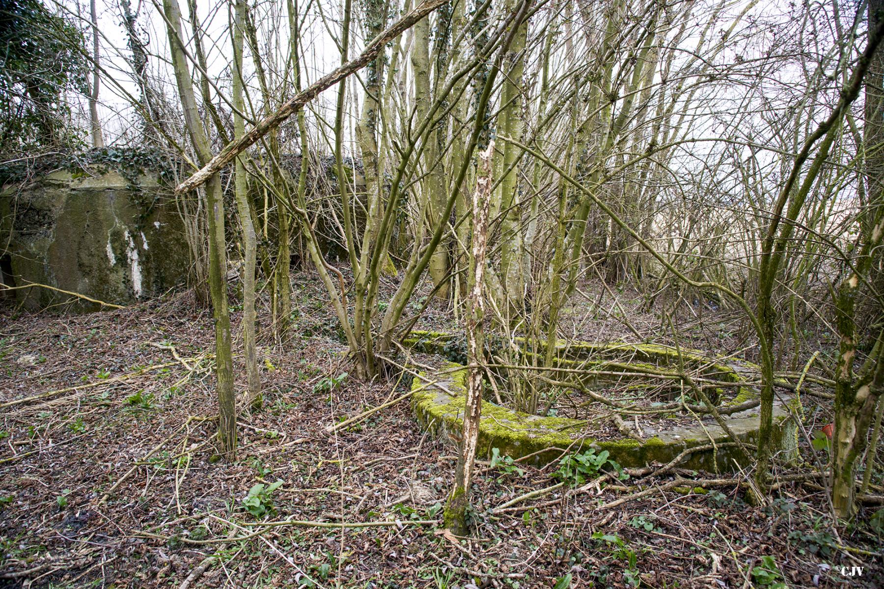 Ligne Maginot - B636 - BOIS D'ELESMES - (Blockhaus pour canon) - La base du tourelle démontable devant le bloc - Lia VERMEULEN