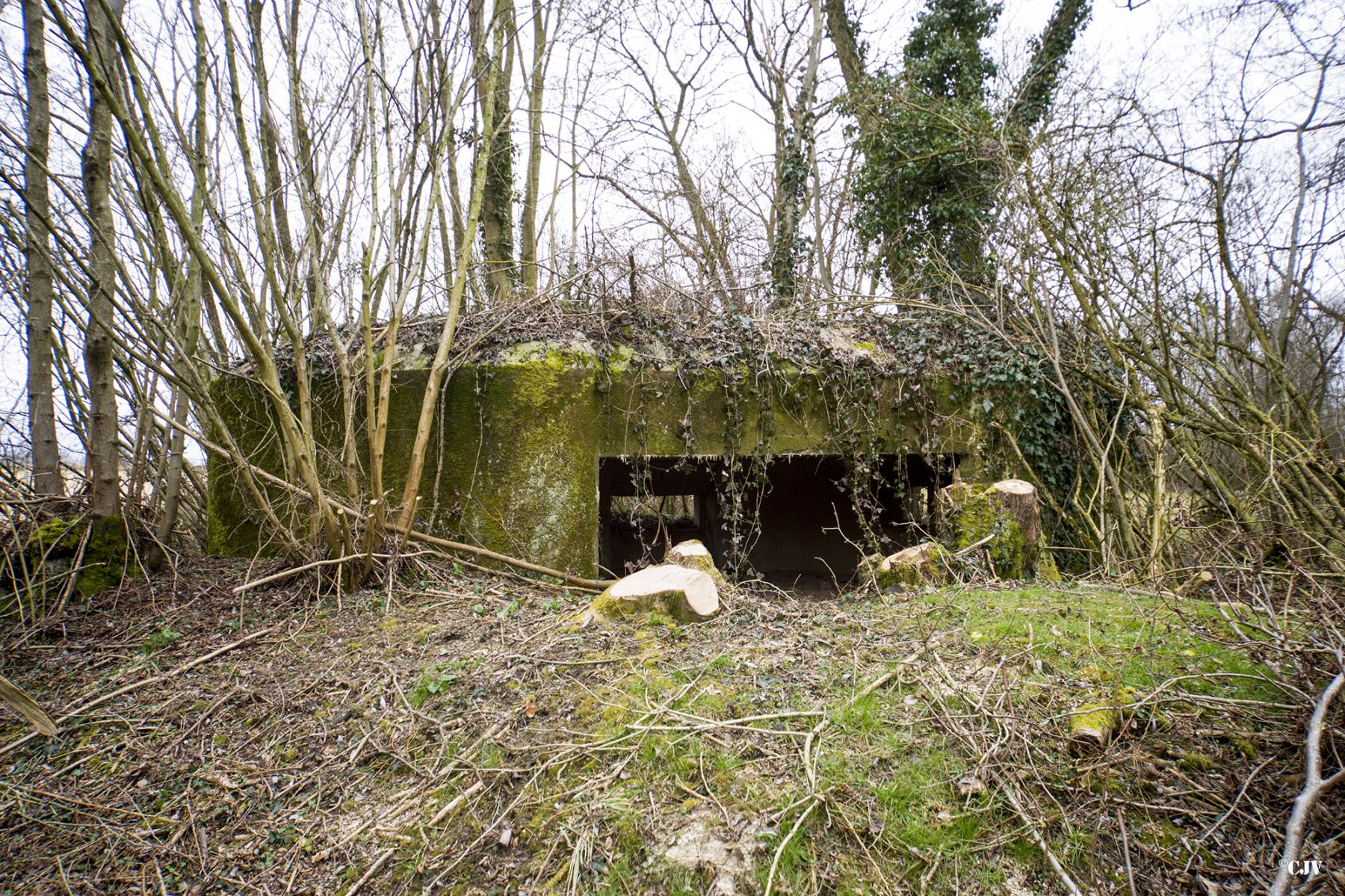 Ligne Maginot - B636 - BOIS D'ELESMES - (Blockhaus pour canon) - L'entrée - Lia VERMEULEN