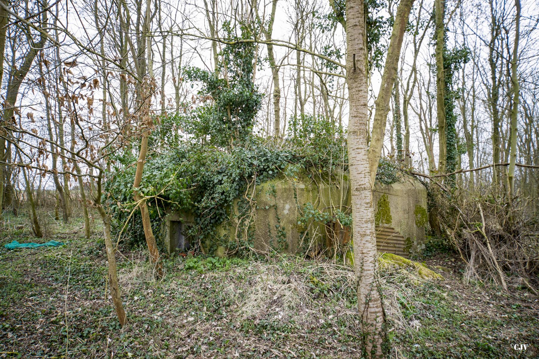 Ligne Maginot - B638 - PETIT BOSQUET - (Blockhaus pour canon) - La face avant - Lia VERMEULEN